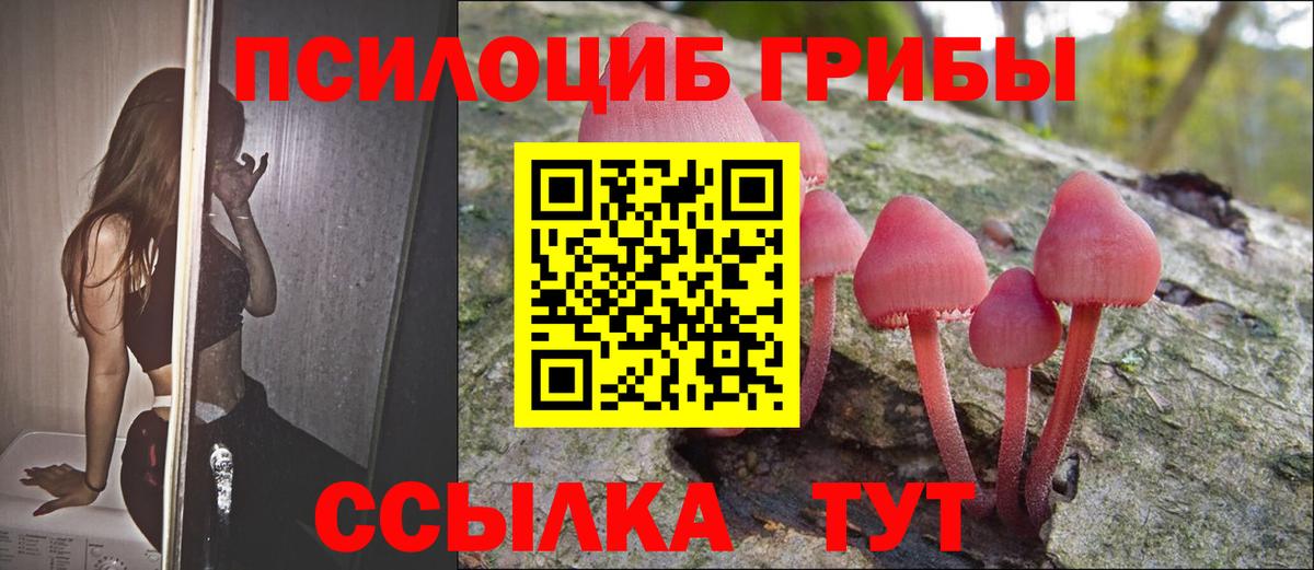 Псилоцибиновые грибы MAGIC MUSHROOMS Заринск