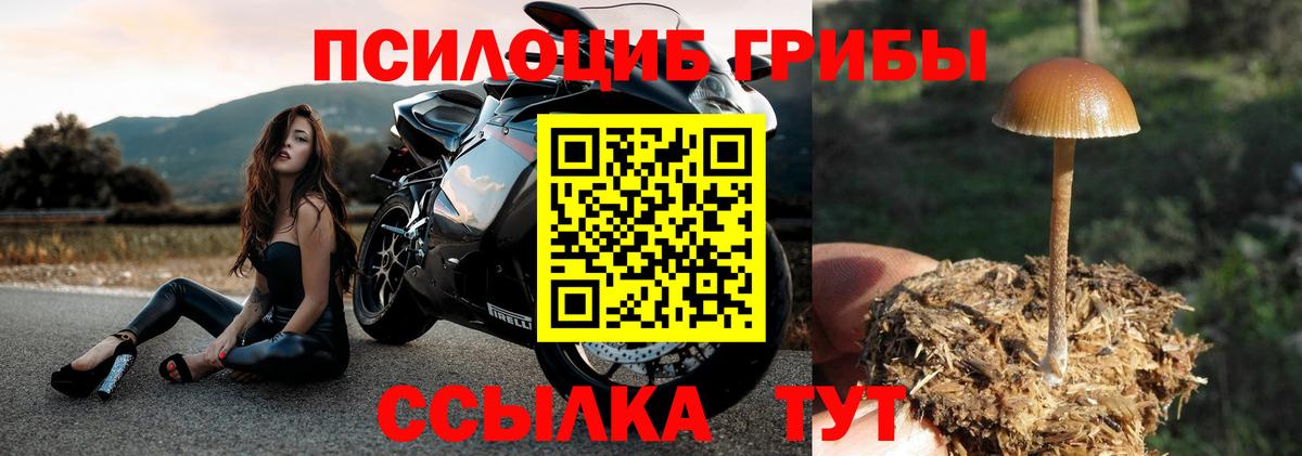 Галлюциногенные грибы GOLDEN TEACHER  Вход с VPN  Галлюциногенные грибы ЛСД  Заринск 